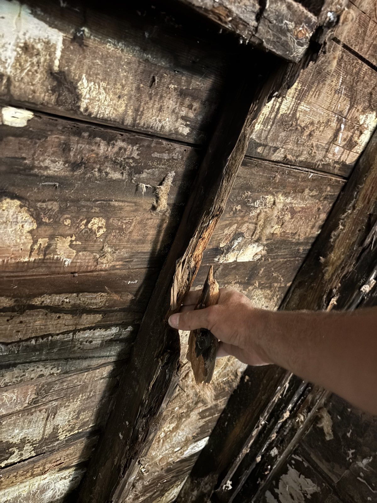 Rotted and water damaged wall framing found behind the shower