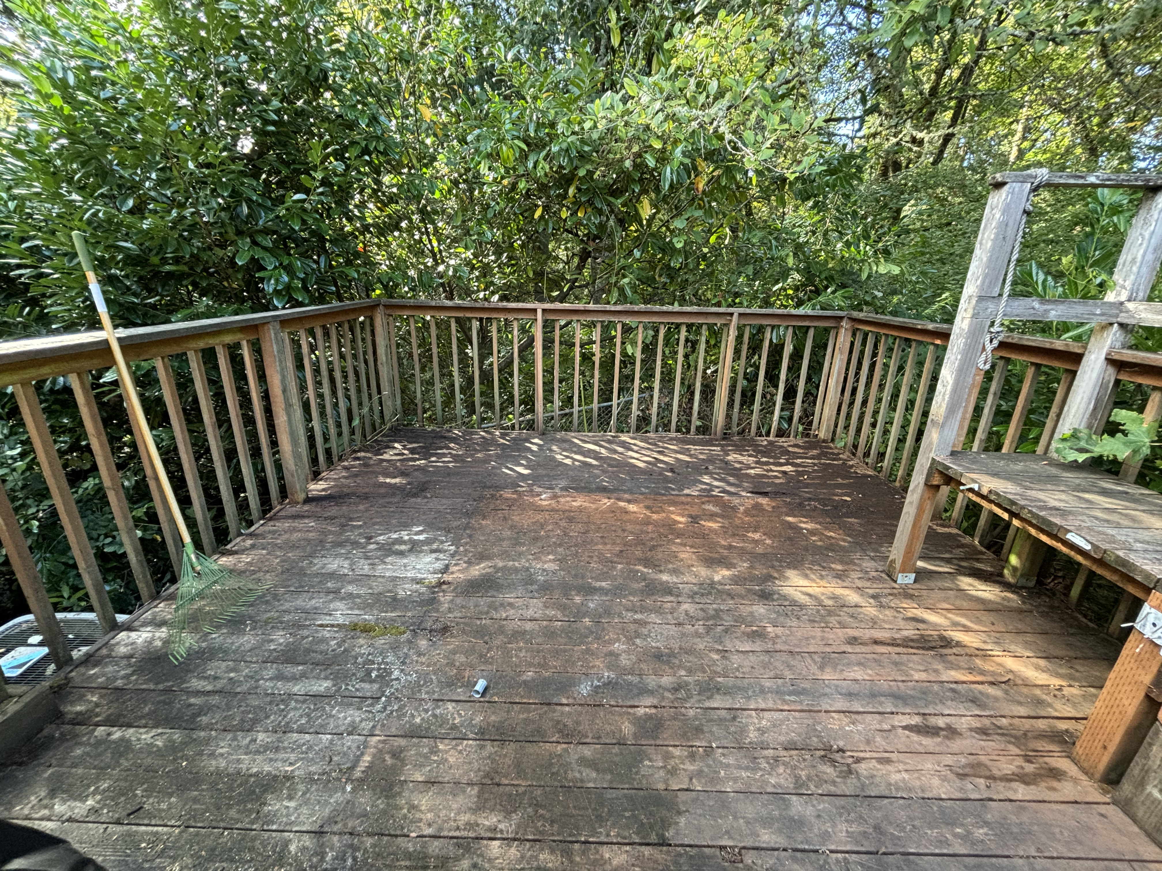 Deck fully cleared and restored after overgrowth removal